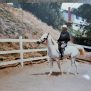 Lyle, 62 years old, San Pedro de Macoris, Dominican Republic